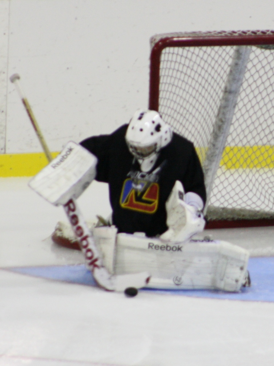 Zachary Gauvreau